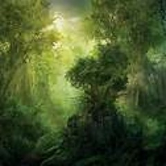 Welcome To The Jungle