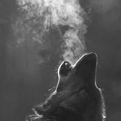 WolfHound A0200
