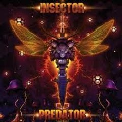 Insector   Hypnotized