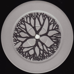 RHYTHM006 - Various Artists - The Pleasure Box Vol. 1