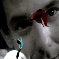 Rumble Fish \\ dialogue from the movie, reworked - FF Coppola