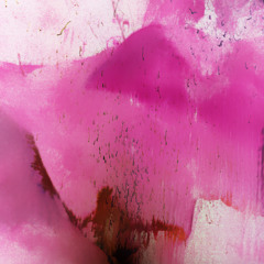 Failing to reproduce appearances (2012)