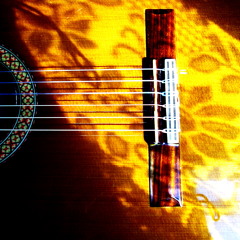 Shadow Of Your Smile on guitar