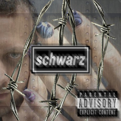 DOWN 4 WHATEVER 21 Mixfile #2 mixed by SCHWARZ