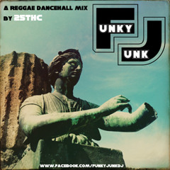 Funky Junk Reggae Mix By 25ThC