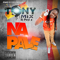 TonyMix & Gama – Na Pale [Remix]