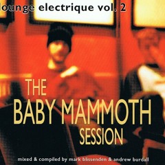 Song 4V - Black 'n Brown - Lounge Elektrique Vol2 - The Baby Mammoth Session