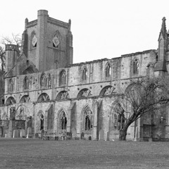 For Tom & Everything [Live BBC Broadcast]