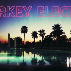Turkey Electro