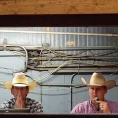 Cattle sale on auction in Saint Joseph, Missouri