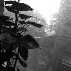Thursday's rainfall