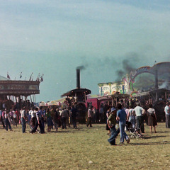 Stourpaine Bushes Miscellany CO17B