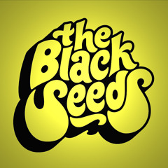 The Black Seeds - Fire (The Real Molloy Remix)