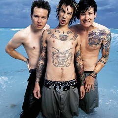 What's My Age Again Blink 182 (Tapedeckbros Remix)