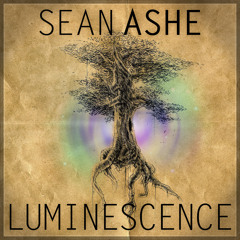 Luminescence (2013 Single Version) Download at seanashe.bandcamp.com