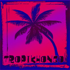TropiKhongo - Suena el Reghetto