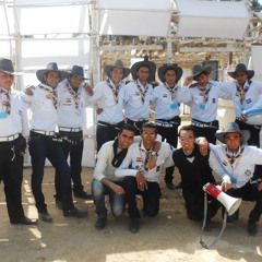 كابرا دنجي ( ديمو )