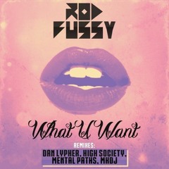 Rod Fussy - What U Want (Mkdj Remix) Preview - Out Soon