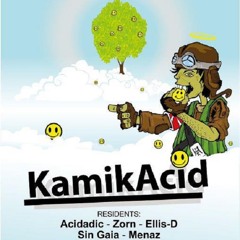 acidadic - kamikacid 3 at the zoo hasselt