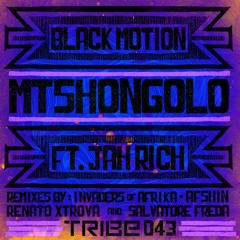 Black Motion feat. Jah Rich - Mshongolo (Afshin Special Dub)