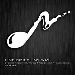 Limp Bizkit - My Way (Stefano Testa Drum'n'Bass Remix Ft. Tapesi & Meson)