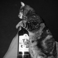 InDaMoodSeptember2k13