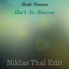 Brett Dennen - Ain't No Reason (Niklas Thal Edit) [FREE DOWNLOAD]