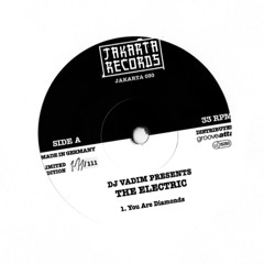 DJ Vadim presents The Electric - You Are Diamonds (Markus Ganter Remix) 2010