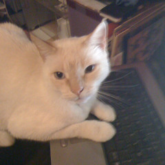 InDaMoodTooSeptember2k13