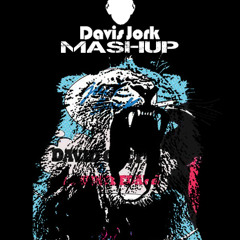 Martin Garrix vs. David Guetta - Ain't A Party Animal (Davis Jork Mashup)