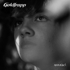 Goldfrapp Annabel - Vinyl and Beat edit - Marcello Palermo dj ReMix