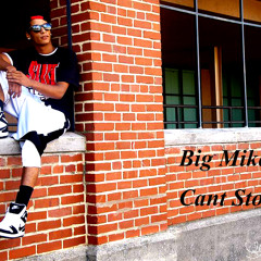 Big Mike- Cant Stop (Swangin)
