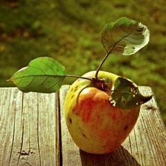 Chasing Cars Piano Cover