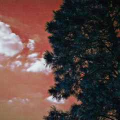 Mr. Pad Meets Ms. Beat (Demo Version)