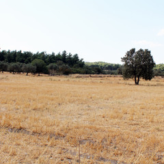 Incubus - Love Hurts (Acoustic Cover by Elmas Music Project)