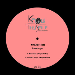 NrkProjects - Couldn't Stop It [Know Thyself Recordings]