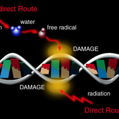 the DNA (Unmixed Demo Snippet)