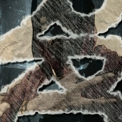 WILDENZ RRC 100P  IM ZONING