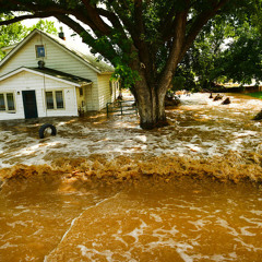 And Still The Rains Came