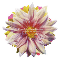 Shining of Life (CALM Remix - Flutemental) - Calm presents K.F