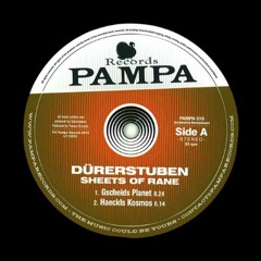 Durerstuben - Haeckls Kosmos