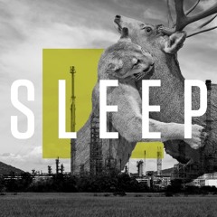 SLEEP MCEVOX - Popp