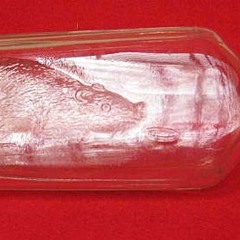 **PREVIEW** Eddy Santana & Clayton William feat Nayelli - Bottle Rat