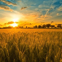 Sylwia Grzeszczak - Pożyczony (GoldenProduction Sunshine progressive remix)