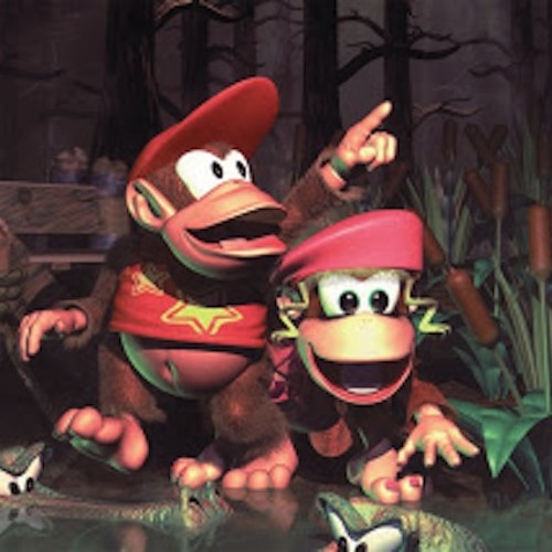 Donkey Kong Country - Forest Interlude (Dj CUTMAN Remix)