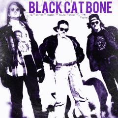Black Cat Bone - Color Me Insane (Live At The Wrocklage)