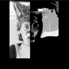 What Does the Fox say