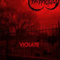 Sinergized (NEW 2013)