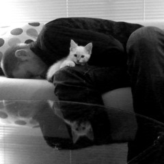 You've Got to Really Love Someone to Let Them Kill Themselves