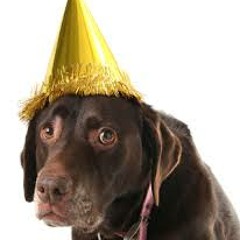 Hotel Amnesia Podcast#2: Late To The Party Once Again